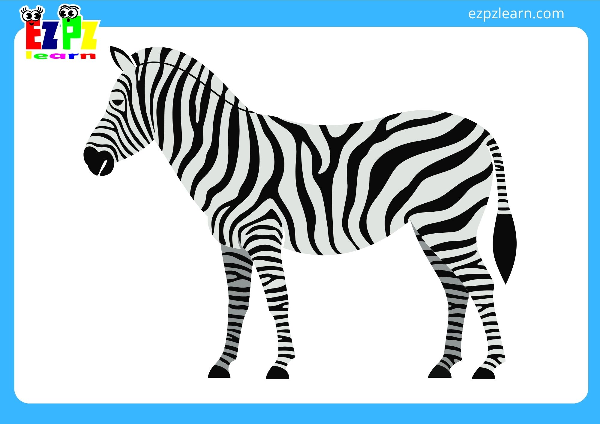 zebra